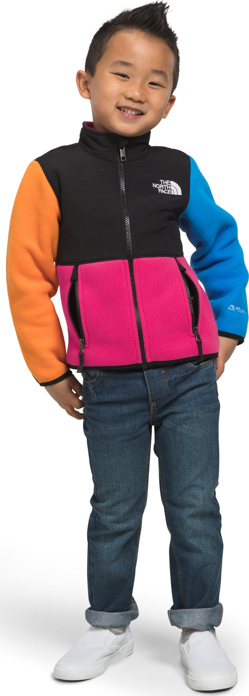 Denali jacket in multicoloured - The North Face